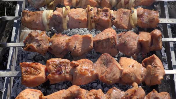 肉在烤架上煎了 开胃羊肉串烤肉串 — 图库视频影像