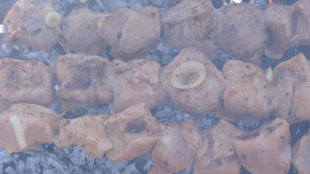 Meat Fried Grill Appetizing Shish Kebab — Stock Video