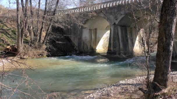 Starożytny Kamienny Most Nad Rzeką — Wideo stockowe