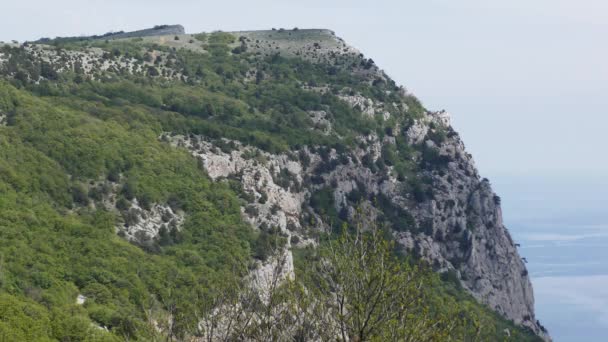 Rochers Bois Contre Mer Bleue — Video