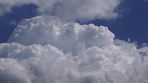 Witte Wolken Drijven Blauwe Hemel — Stockvideo