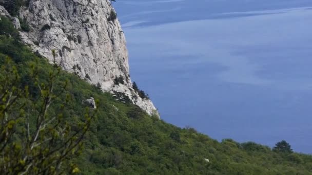 Rochers et bois contre la mer bleue .