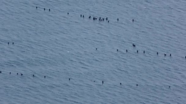 渔网位于海里 — 图库视频影像
