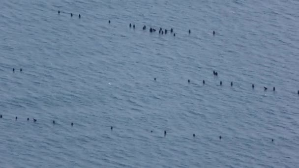 Les Filets Pêche Sont Situés Dans Mer — Video