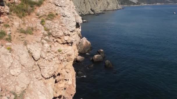 Steniga Havsstrand Visa Från Ovan Videoklipp