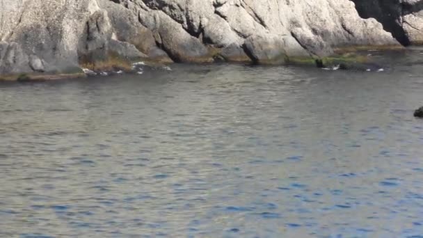 Deniz Kayalarla Çevrili Deniz Manzarası — Stok video