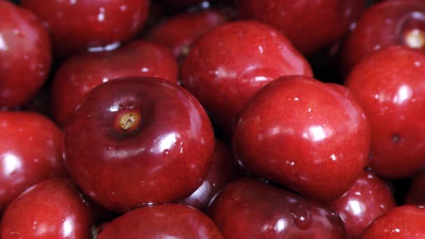 Red Ripe Cherry Berries — Stock Video