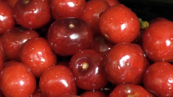 Frutas Vermelhas Cereja Maduras — Vídeo de Stock