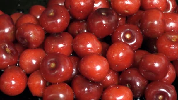 Frutas Vermelhas Cereja Maduras — Vídeo de Stock