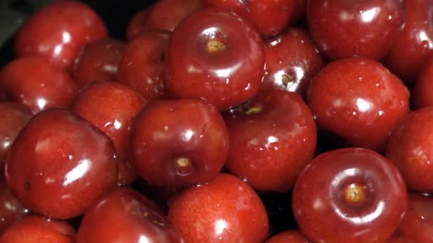 Red Ripe Cherry Berries — Stock Video