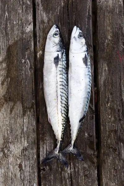 Two Mackerel Fish Rustic Wooden Surface — Stock Photo, Image