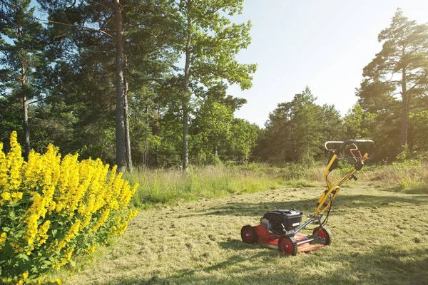 Rasenmäher Auf Dem Rasen Hellen Sonnenlicht Mit Bäumen Hintergrund — Stockfoto