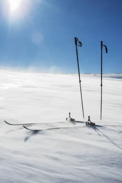 Ski Poles Skis Snowcapped Hill Bright Sunlight — Stock Photo, Image