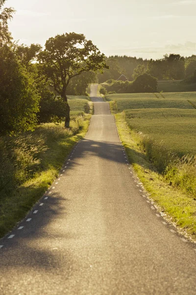 Rural Road Green Landscape Trees — Stock Photo, Image