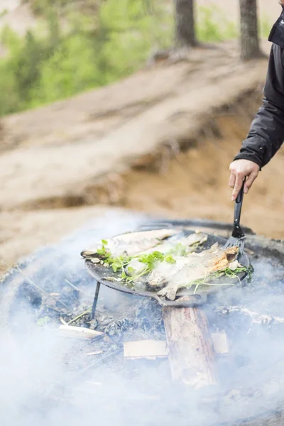 Cropped View Man Cooking Fish Campfire Selective Focus — Stock Photo, Image