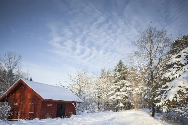 Exterior Del Edificio Rojo Invierno Sueco —  Fotos de Stock