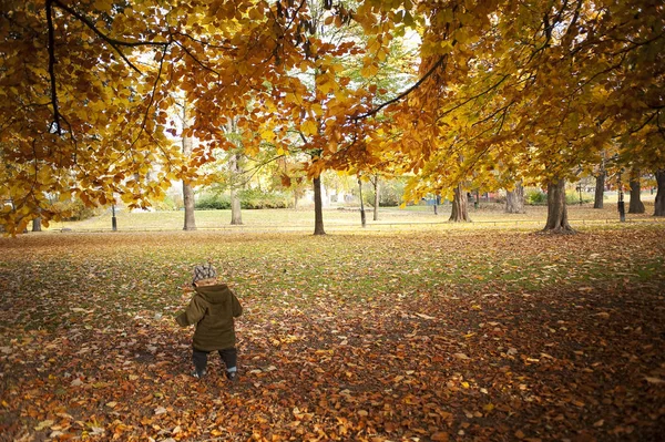 Parco Piedi Ragazzo Autunno Focus Selettivo — Foto Stock