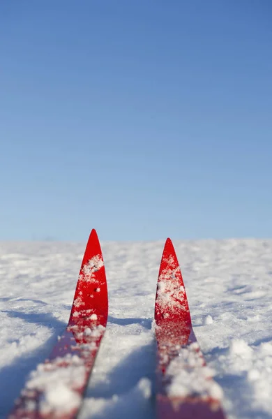 Vista Del Par Esquís Rojos Nieve Luz Del Sol — Foto de Stock