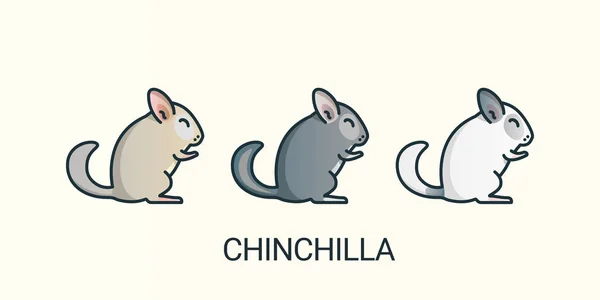 Iconos de mascotas de chinchilla de línea plana — Archivo Imágenes Vectoriales