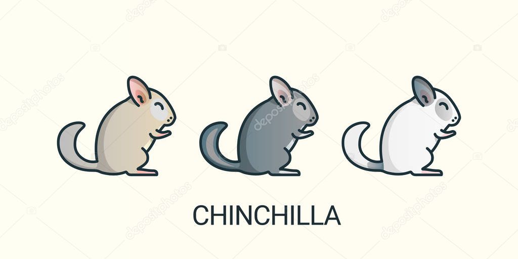 Flat line chinchilla pets icons