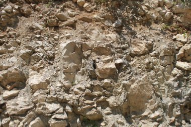 Taş çim. Stone mountain. Kayalar