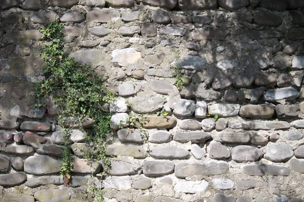 Green fence on a stone fence