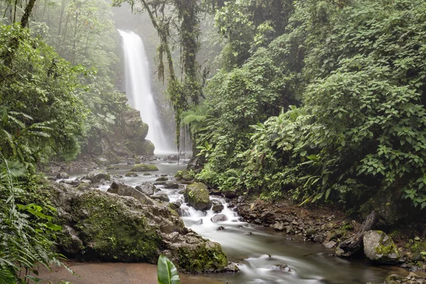 Tropikal orman şelale — Stok fotoğraf