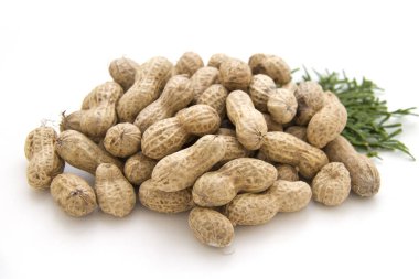 Bu Fıstık 'ın resmi..