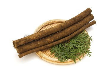 Japon kök sebzelerinden yıkanmış Burdock.