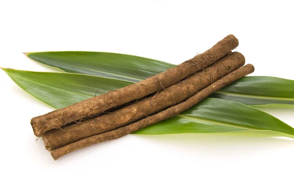 Japon kök sebzelerinden yıkanmış Burdock.