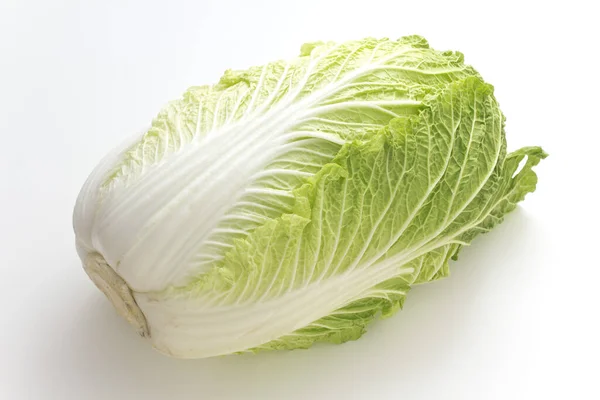 中国キャベツ全体 日本では白菜と呼ばれる — ストック写真