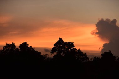 Güzel gökyüzü ve gün batımı kullanılan arka plan resmi olarak altın bulutlar.