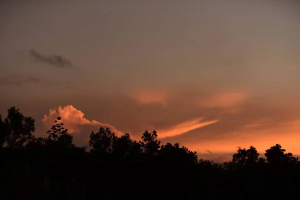 Sunset Sky Evening Golden Clouds Orange Beautiful Shape Resembles Gotzila — Stock Photo, Image