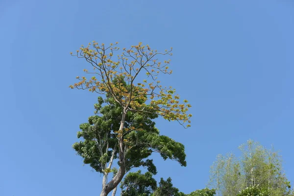 Amatör bisikletçi görsel Engelli olan çocuklar için bir sadaka programında rekabet. Chonburi Chanthaburi, Tayland, thailand, için rota 129 km 17 Mart 2018 olduğunu.