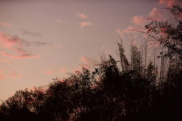 Hermoso Cielo Nubes Doradas Puesta Del Sol Uso Como Imagen — Foto de Stock