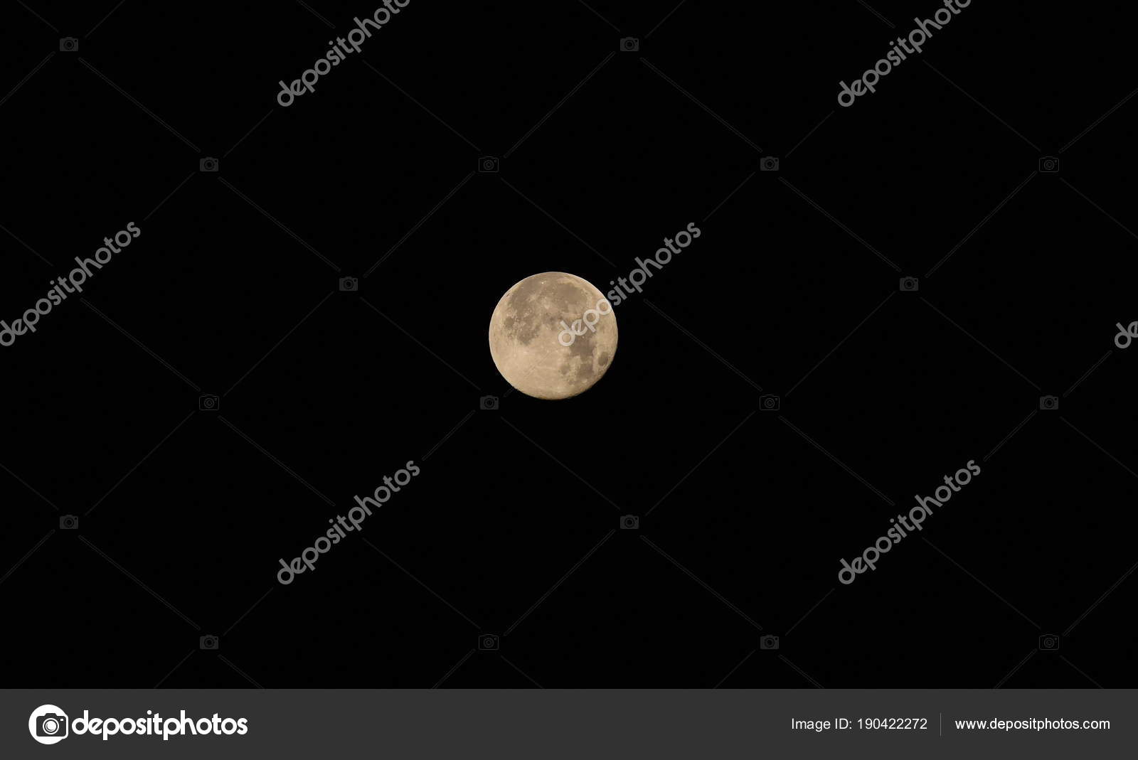 Full Moon Peaceful Night Forest Stock Photo Image By C Tharathiponsri Gmail Com