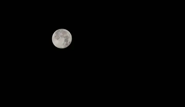 Pleine Lune Dans Nuit Pleine Lune Dans Forêt — Photo