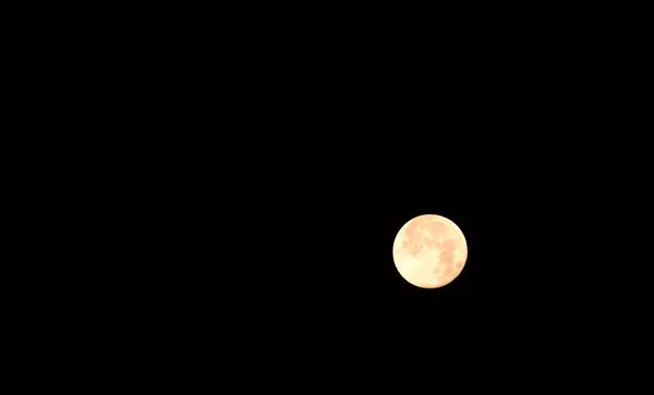Lua Cheia Uma Noite Tranquila Floresta — Fotografia de Stock