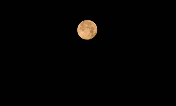 Vollmond Einer Friedlichen Nacht Wald — Stockfoto