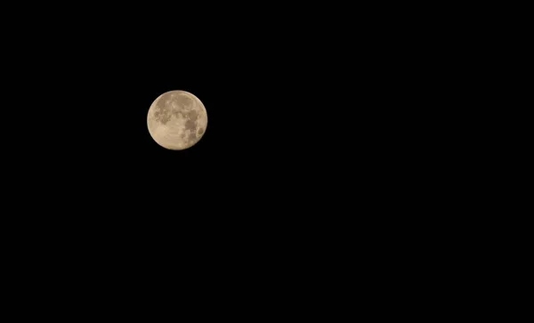 Pleine Lune Dans Une Nuit Paisible Dans Forêt — Photo