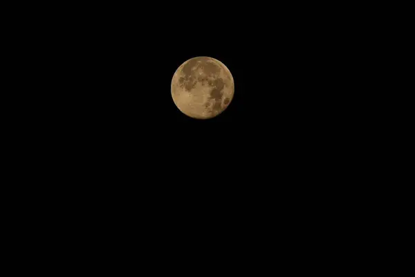 Volle Maan Een Rustige Nacht Het Bos — Stockfoto