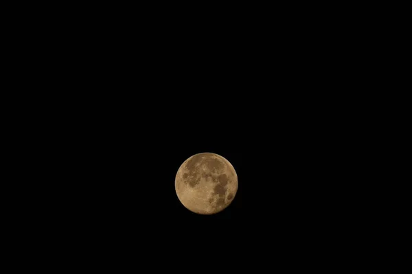 Pleine Lune Dans Nuit Pleine Lune Dans Forêt — Photo