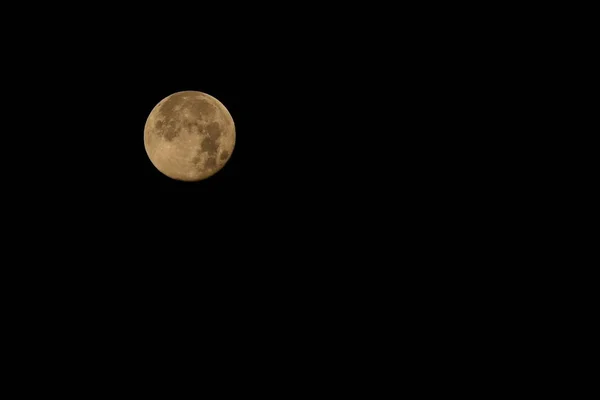 Pleine Lune Dans Nuit Pleine Lune Dans Forêt — Photo