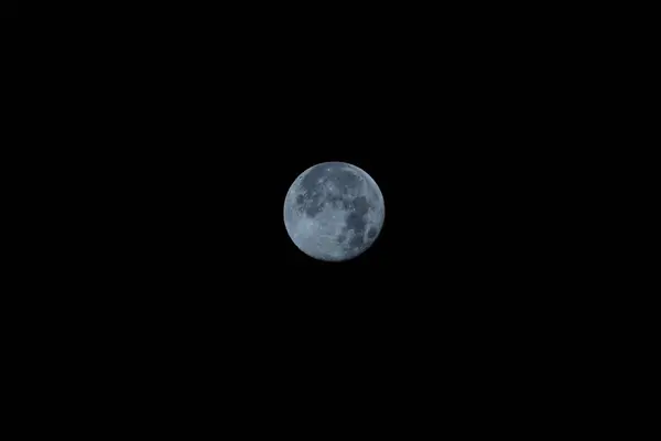 満月の夜に 森の中の満月 — ストック写真