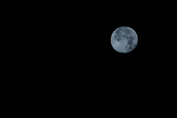 Nuit Pleine Lune Dans Forêt — Photo