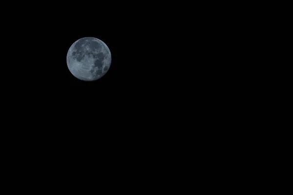 Nuit Pleine Lune Dans Forêt — Photo