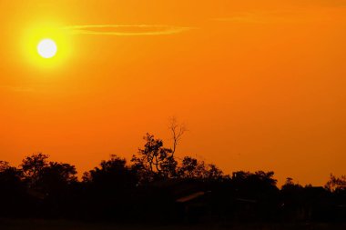 Alanın ortasında güzel altın gökyüzü günbatımı.