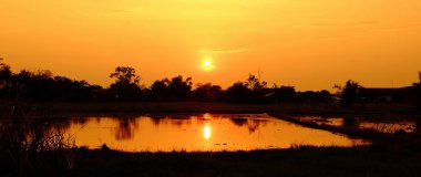 Günbatımı turuncu shad altın gökyüzü, güzel bulut, güneş ışığı, ışık ile.