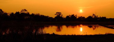 Günbatımı turuncu shad altın gökyüzü, güzel bulut, güneş ışığı, ışık ile.