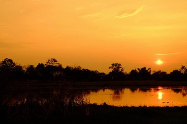 Günbatımı turuncu shad altın gökyüzü, güzel bulut, güneş ışığı, ışık ile.
